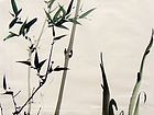 竹41