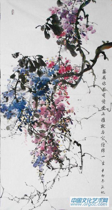 紫藤13
