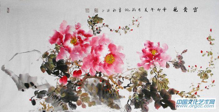 牡丹18