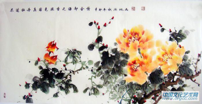 牡丹16