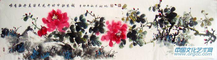 牡丹48