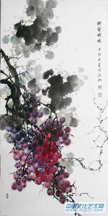 葡萄11