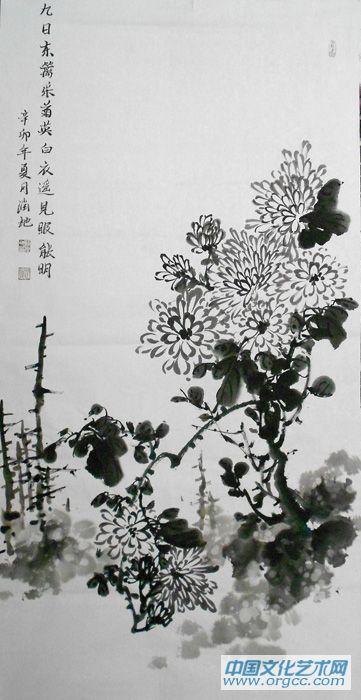 菊花04