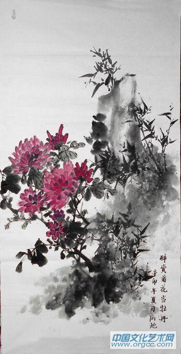菊花05