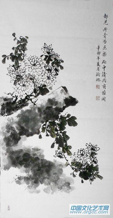 菊花06
