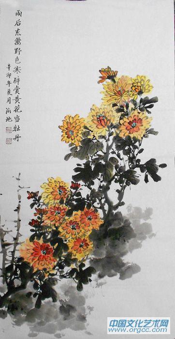菊花07
