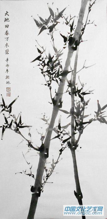 竹11