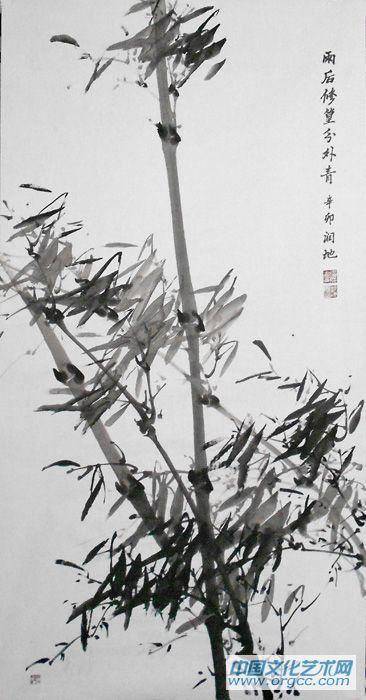 竹12