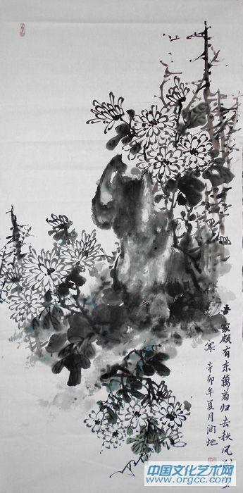 菊花08