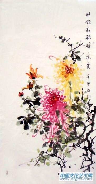 菊花10