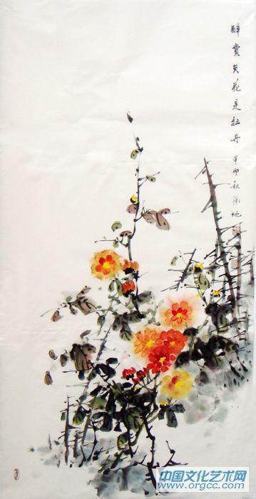 菊花09