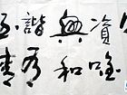 杨铸华作品1