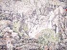 游桂光作品