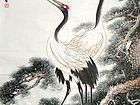 松鹤长寿