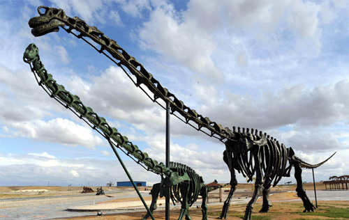 这是二连浩特白垩纪恐龙公园里的恐龙化石复原模型