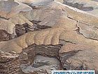 程宗敏作品