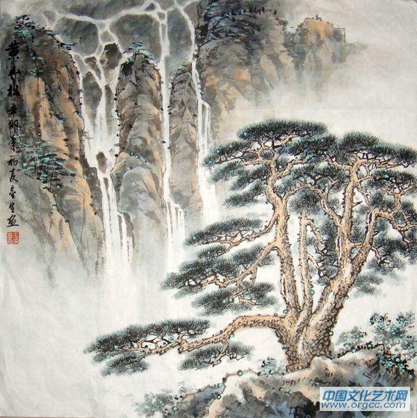 黄山松