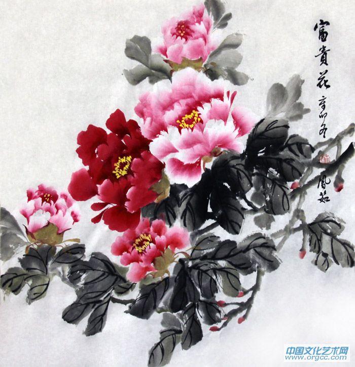 富贵花