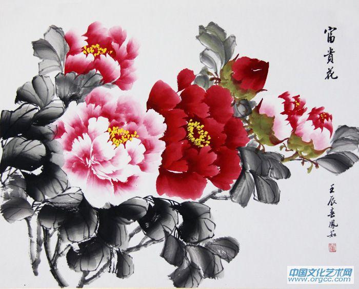 富贵花