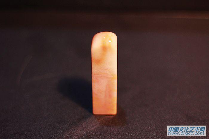 094 素章鲎箕1.9X1.8X6.8