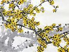 画家索铁生花鸟作品《铁石梅花气概》