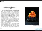 030-031郑贤民