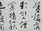 书画家王朝军行书作品