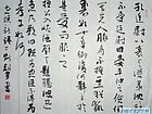 书画家王朝军行书作品