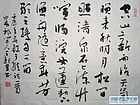 书画家王朝军行书作品