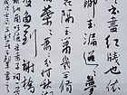 书画家王朝军行书作品