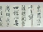 书画家王朝军行书作品