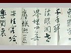 书画家王朝军行书作品