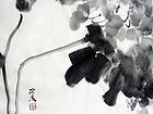 水墨19号