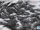画家李颠焦墨山水作品