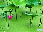 P1050340
