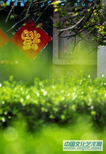 春意已浓