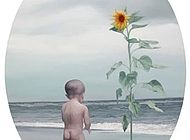 面朝大海