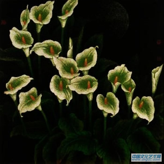 郑益坤《马蹄莲》