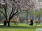 春天里