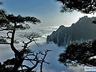 夕阳下的云海