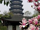 江南春意浓