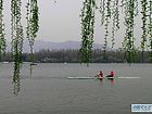 西湖之春