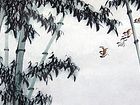 绿雾晨曲