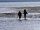 赶海