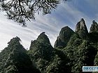 五老拜寿