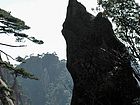 仙人指路