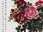 花恋蝴蝶