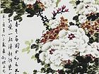 洛阳春色