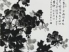 墨牡丹