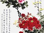 牡丹花为富贵花